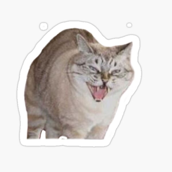 Artikel-Vorschau von Fauchende weiß getigerte Katze , designt und verkauft von Melike-Bon.