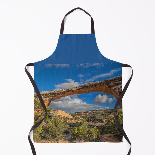 Item preview, USA. Utah. Natural Bridges National Monument. Owachomo Natural Bridge. designed and sold by vadim19.