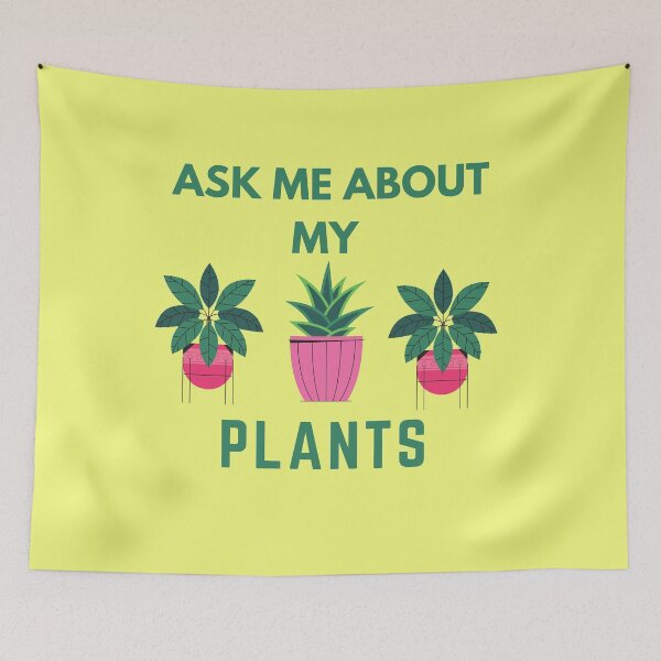 Item preview, ask me about my plants designed and sold by The Full Cart.