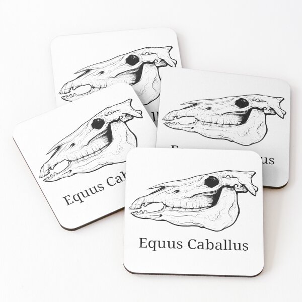 Item preview, Horse Equine skull - Veterinarian  designed and sold by HaychGee.