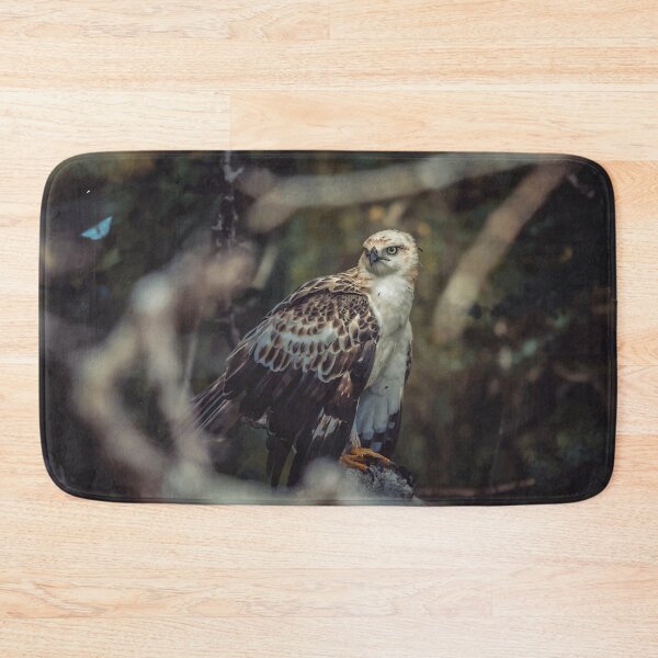 Item preview, Hawk - Wild Life designed and sold by chamsham2020.