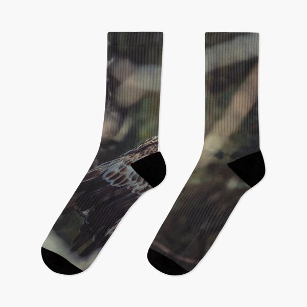Item preview, Hawk - Wild Life designed and sold by chamsham2020.