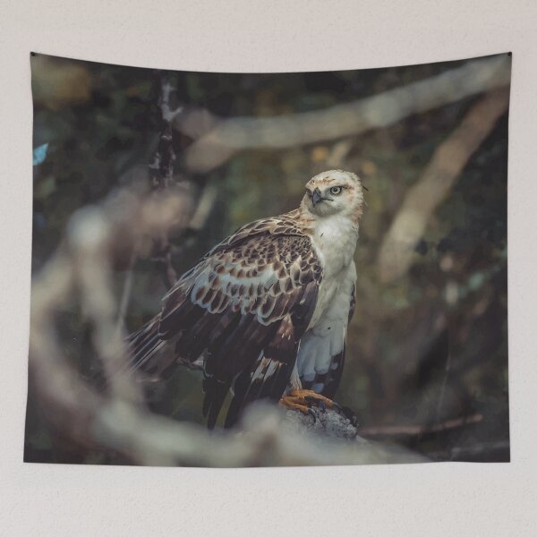 Item preview, Hawk - Wild Life designed and sold by chamsham2020.