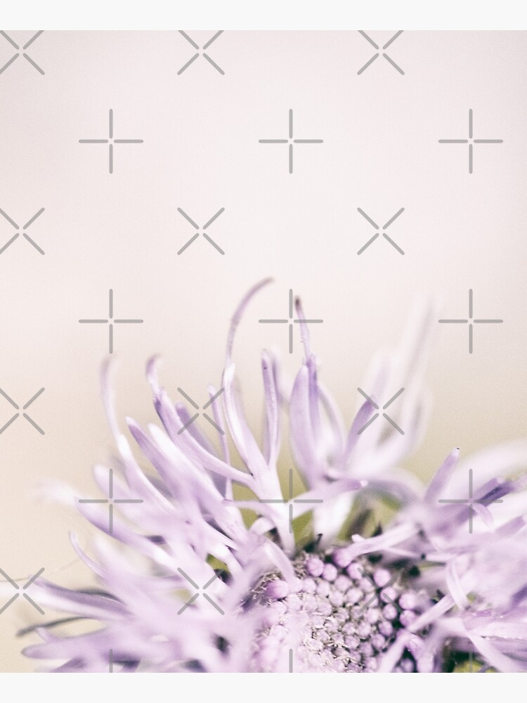 Flower Mystical by WendyLeyten