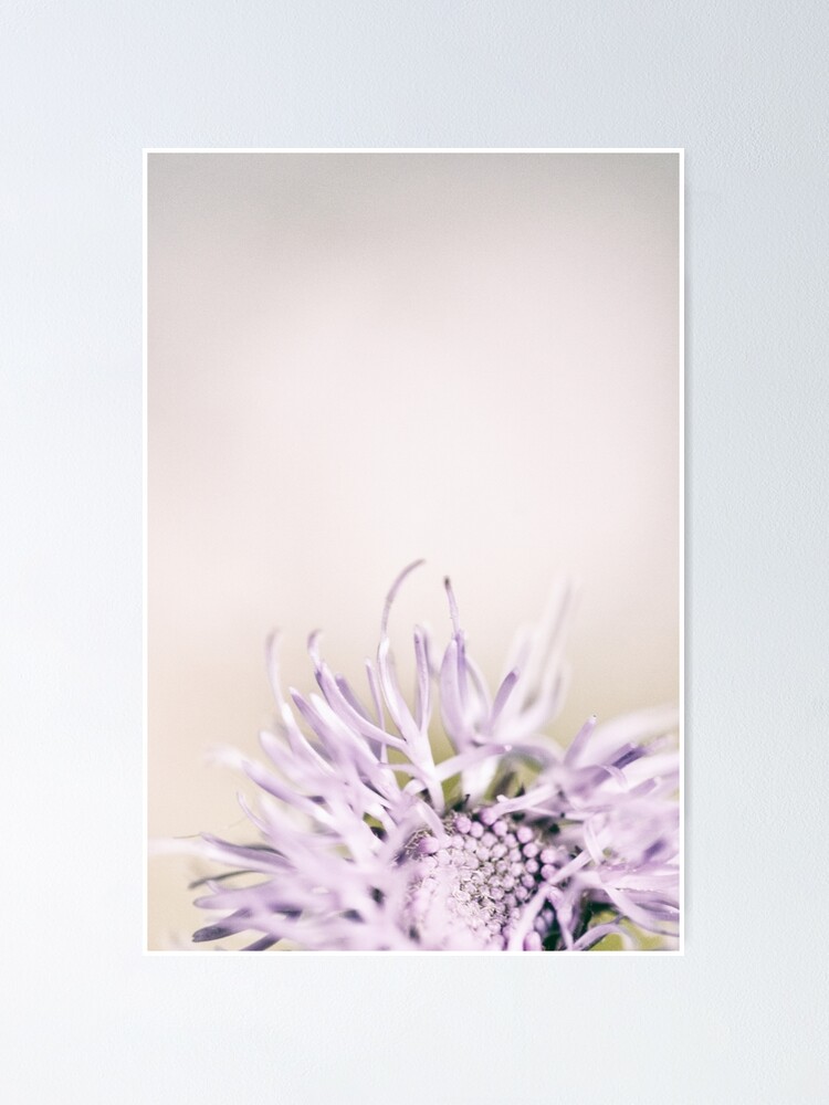 Alternate view of Flower Mystical Poster