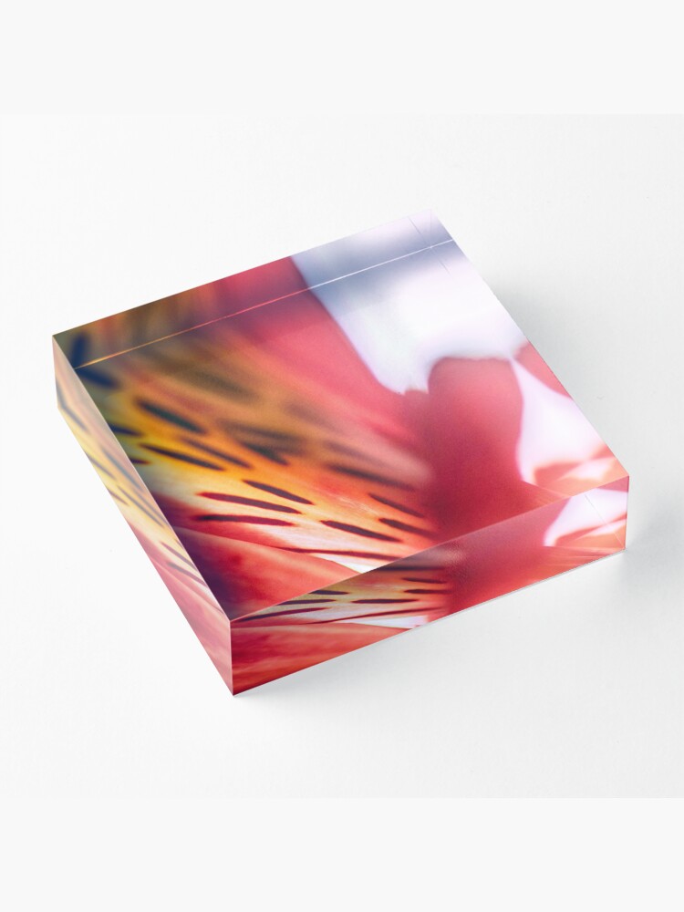 Alternate view of Flower Mystical Acrylic Block