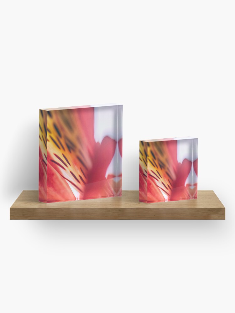 Alternate view of Flower Mystical Acrylic Block