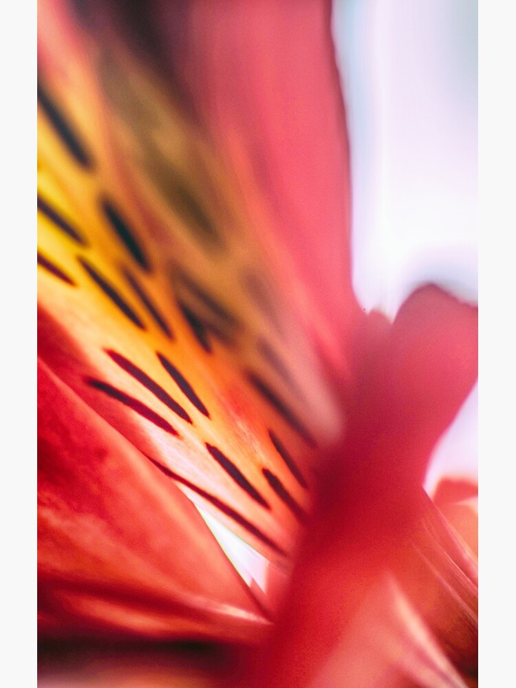Flower Mystical by WendyLeyten
