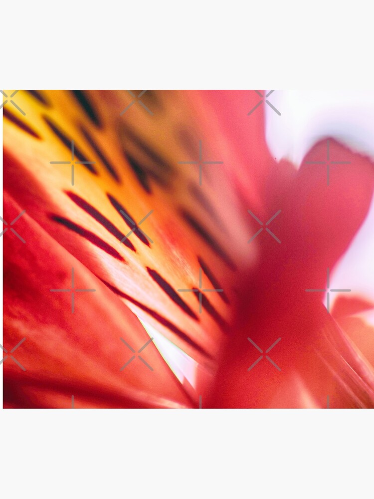 Flower Mystical by WendyLeyten