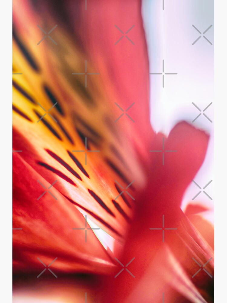 Flower Mystical by WendyLeyten