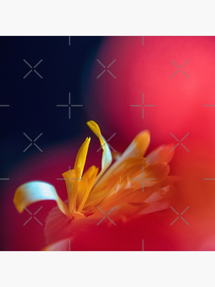 Flower Mystical by WendyLeyten