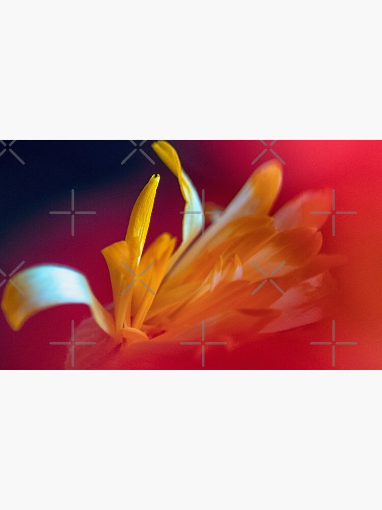 Flower Mystical by WendyLeyten