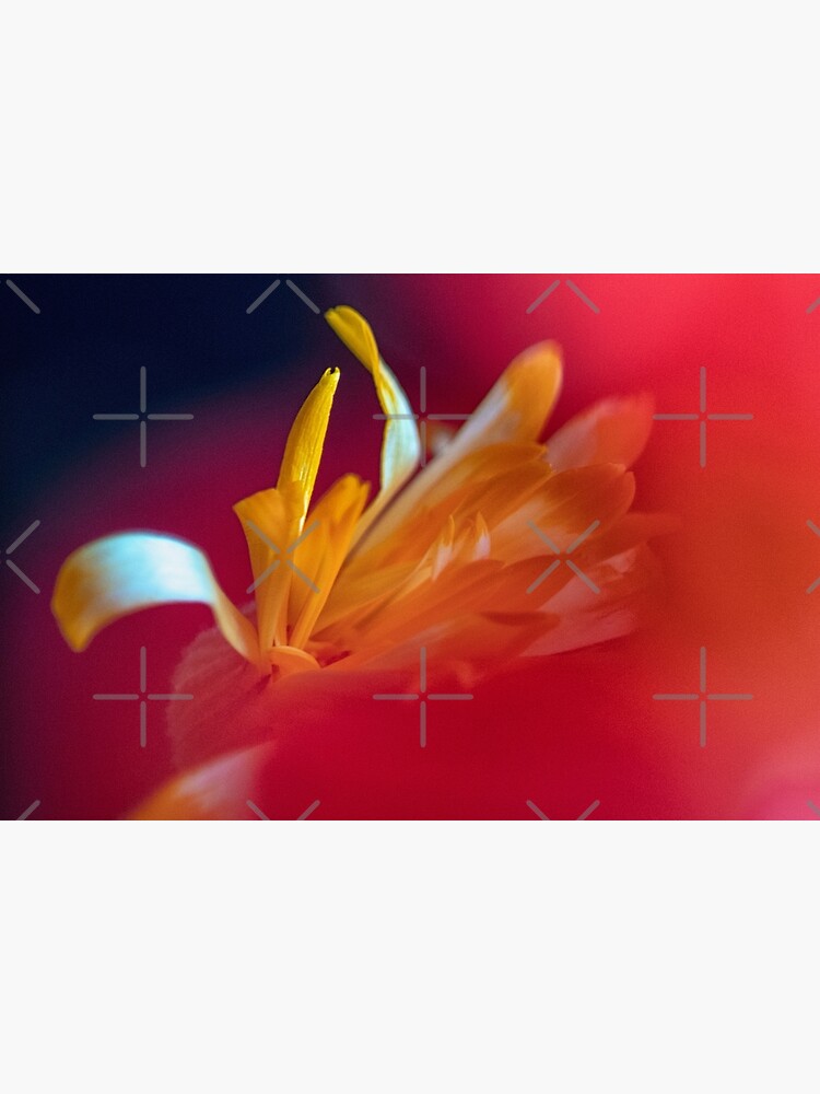 Flower Mystical by WendyLeyten