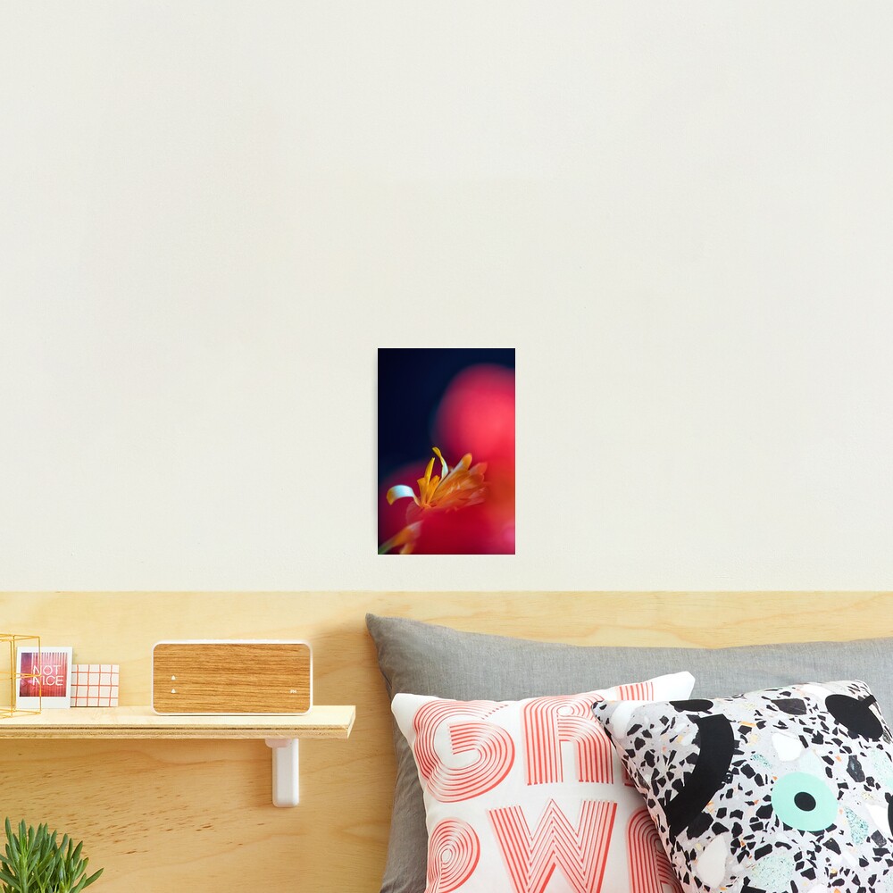 Item preview, Photographic Print designed and sold by WendyLeyten.