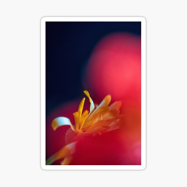 Flower Mystical Sticker
