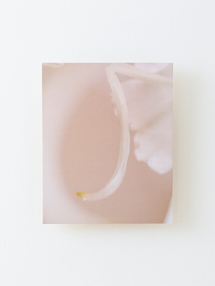 Alternate view of Flower Mystical Mounted Print