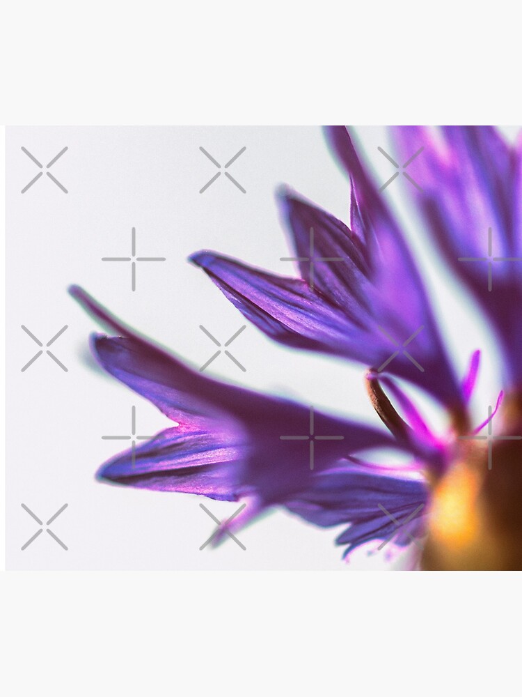Flower Mystical by WendyLeyten