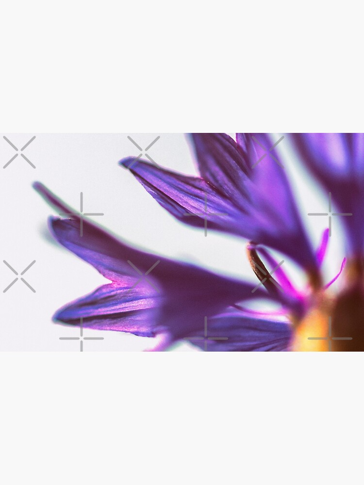 Flower Mystical by WendyLeyten