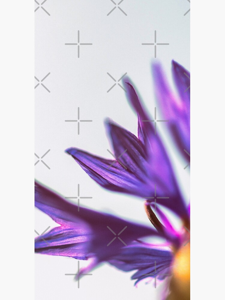Flower Mystical by WendyLeyten