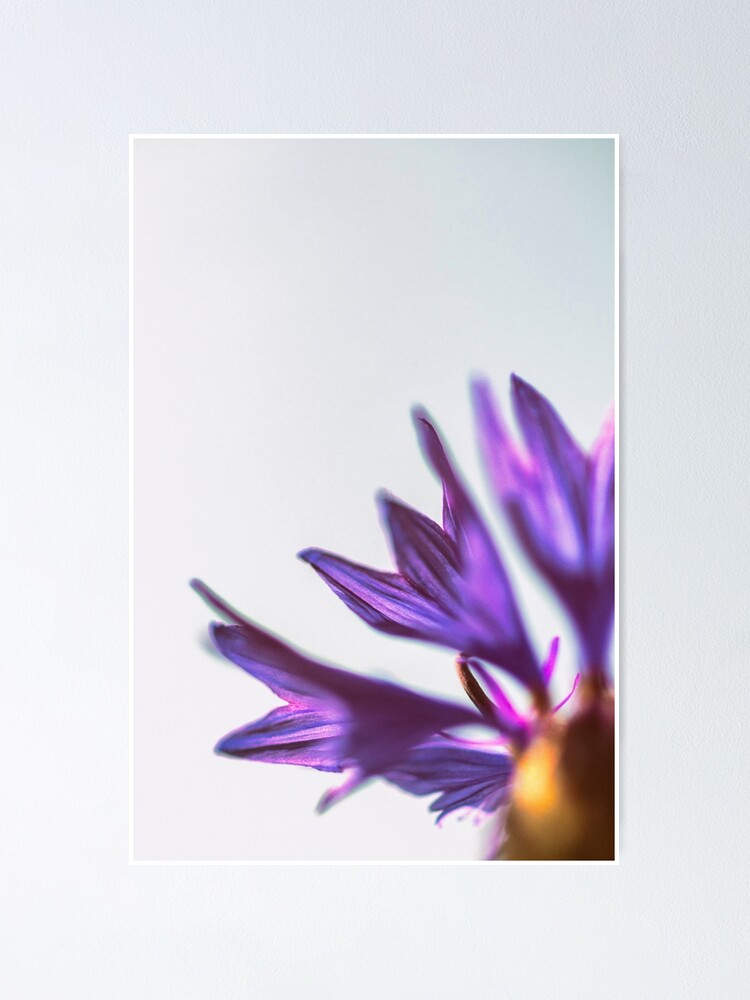Alternate view of Flower Mystical Poster