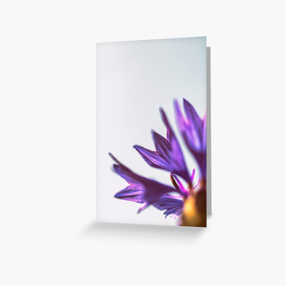 Flower Mystical Greeting Card