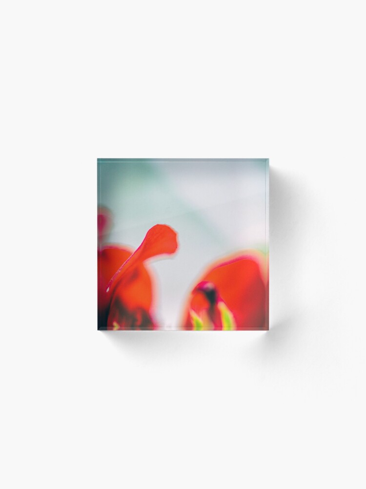 Alternate view of Flower Mystical Acrylic Block