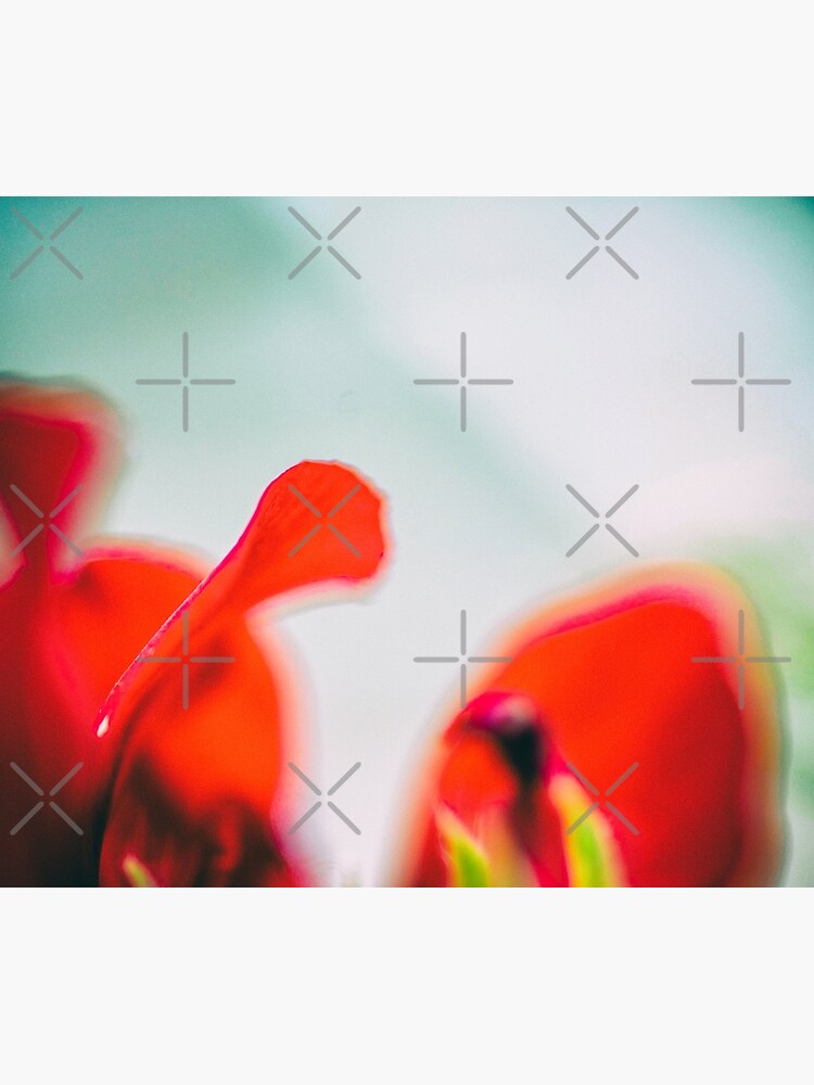 Thumbnail 6 of 6, Throw Blanket, Flower Mystical designed and sold by Art-Foto .be.