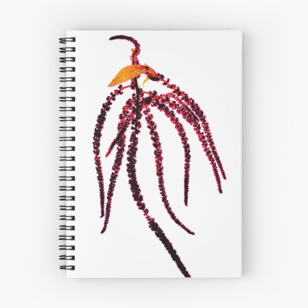 Item preview, Amaranthus Botanical designed and sold by MazGhani.