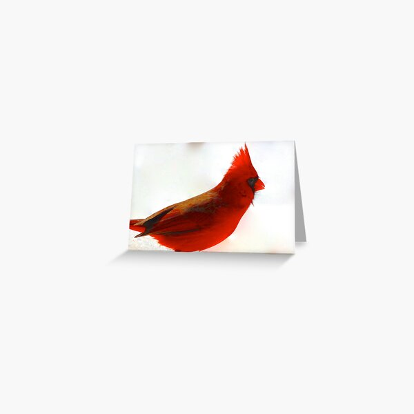 Profiling, and Styling Greeting Card