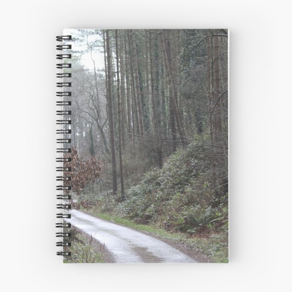 Item preview, Pathway through a forest designed and sold by Jenny Burrows.