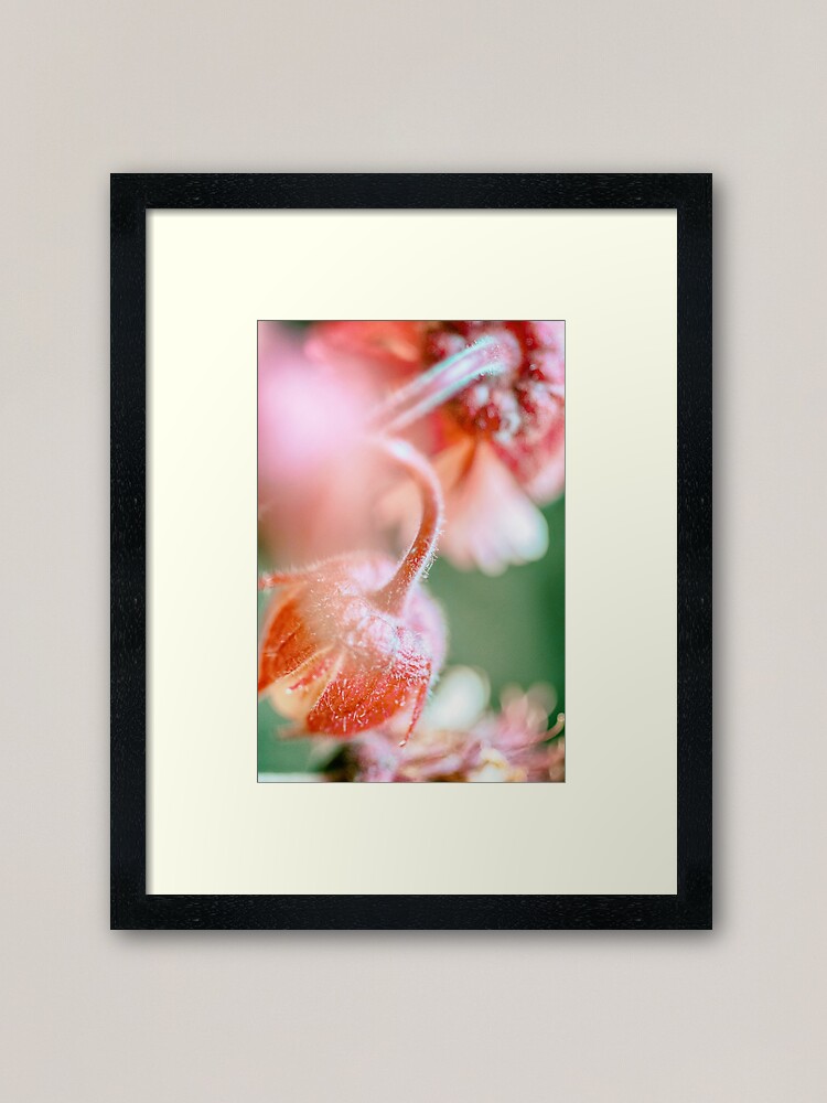 Alternate view of Flower Mystical Framed Art Print