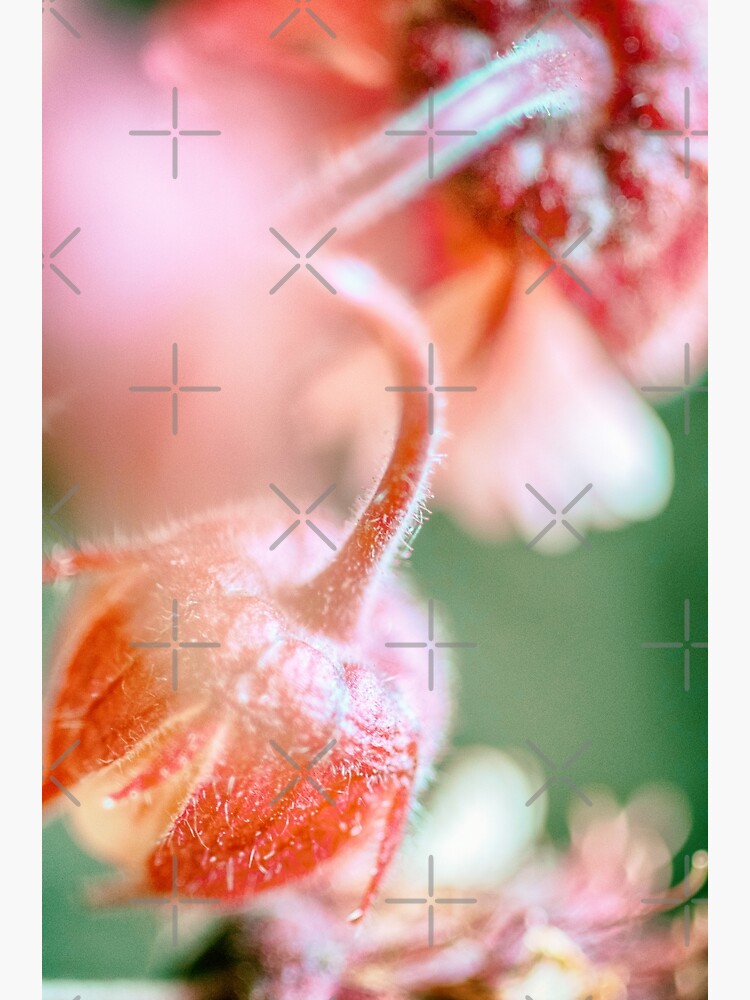 Flower Mystical by WendyLeyten