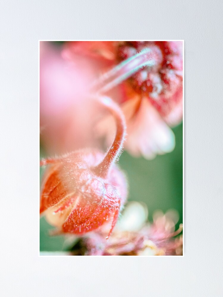 Alternate view of Flower Mystical Poster