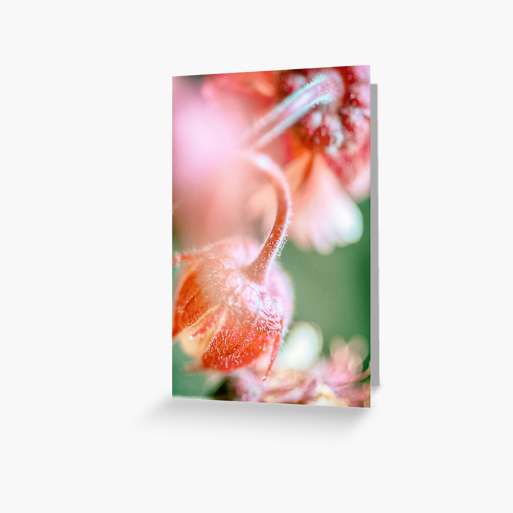 Flower Mystical Greeting Card