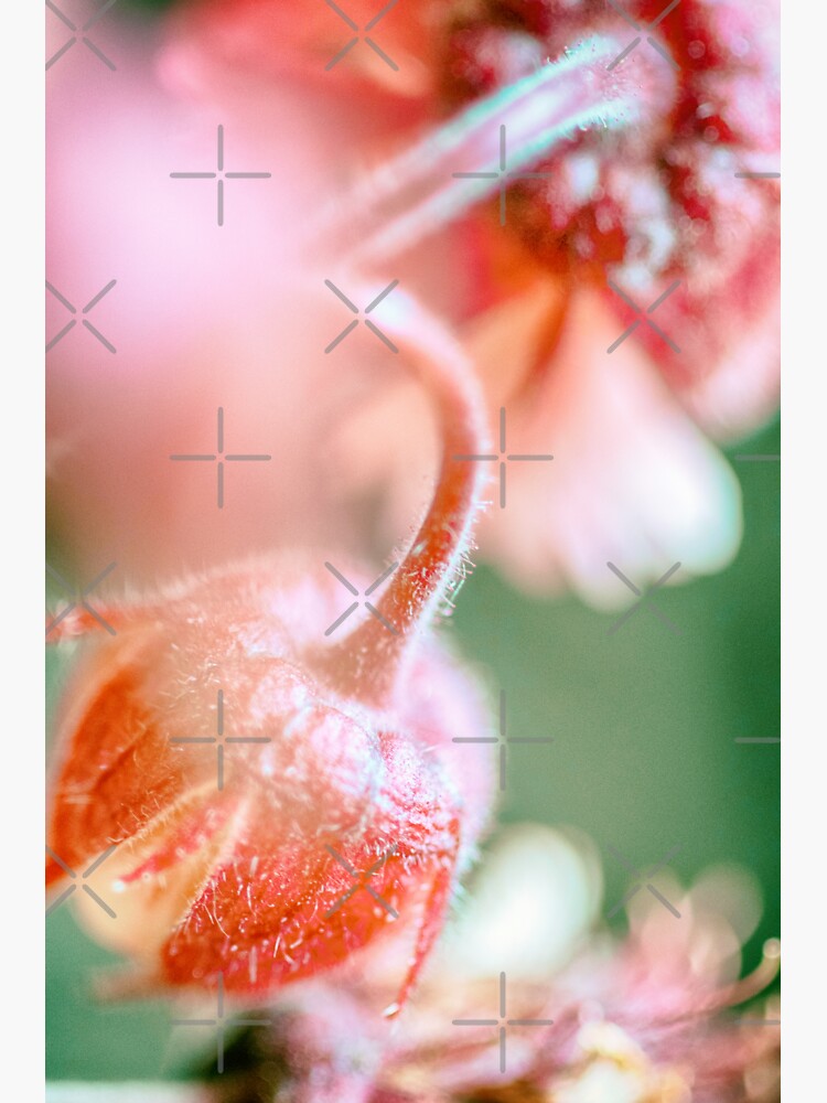 Flower Mystical by WendyLeyten