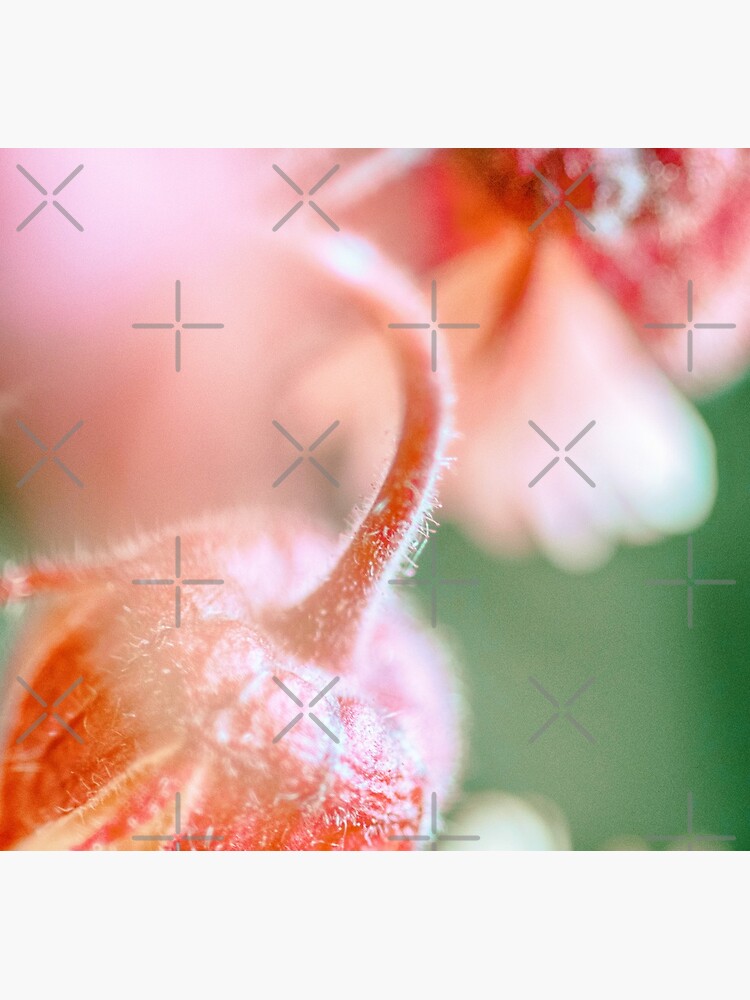 Flower Mystical by WendyLeyten