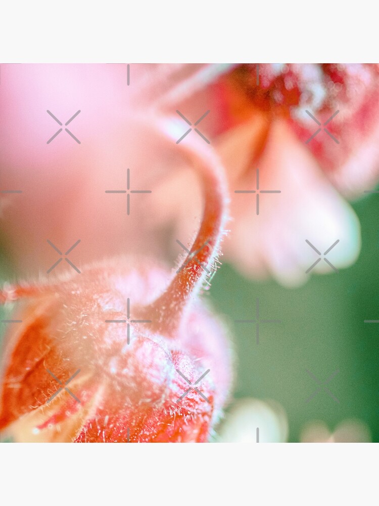 Flower Mystical by WendyLeyten
