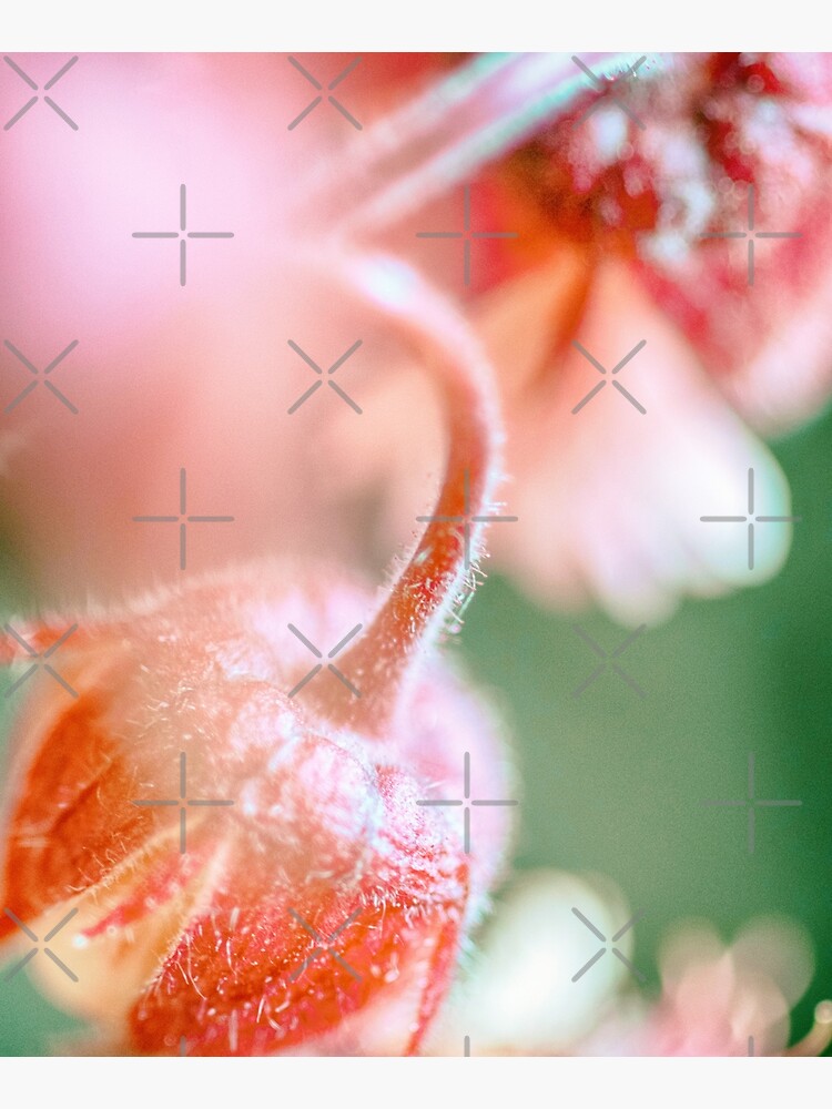 Flower Mystical by WendyLeyten