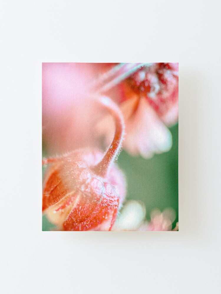 Alternate view of Flower Mystical Mounted Print
