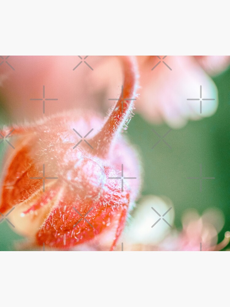 Flower Mystical by WendyLeyten