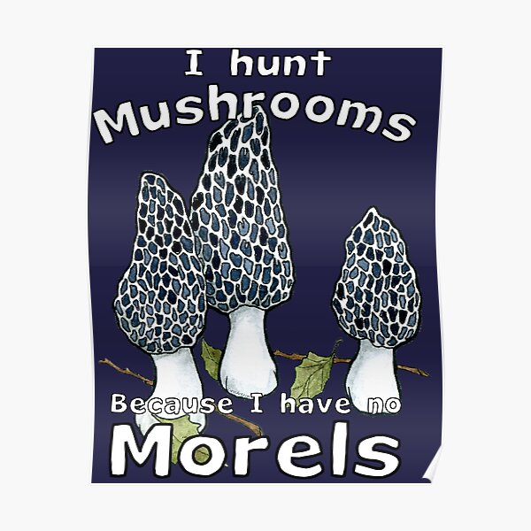 No Morels Poster
