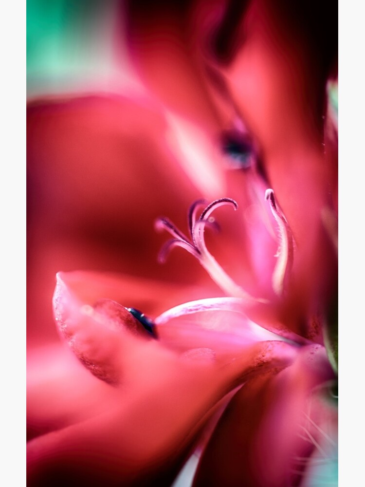 Flower Mystical by WendyLeyten