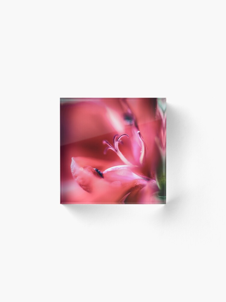 Alternate view of Flower Mystical Acrylic Block