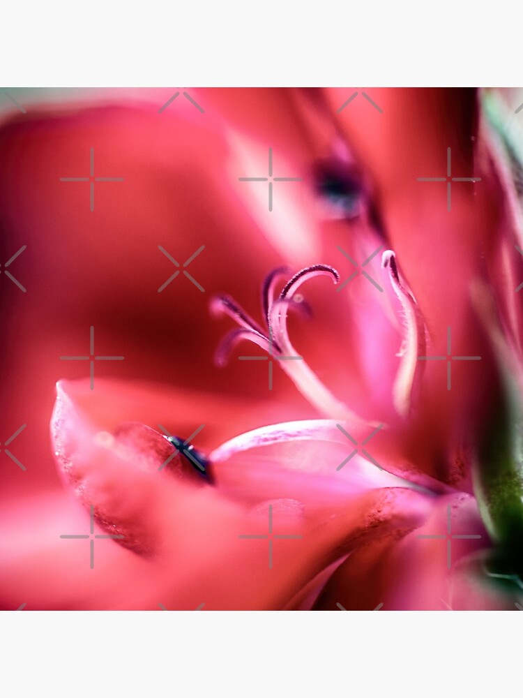 Flower Mystical by WendyLeyten