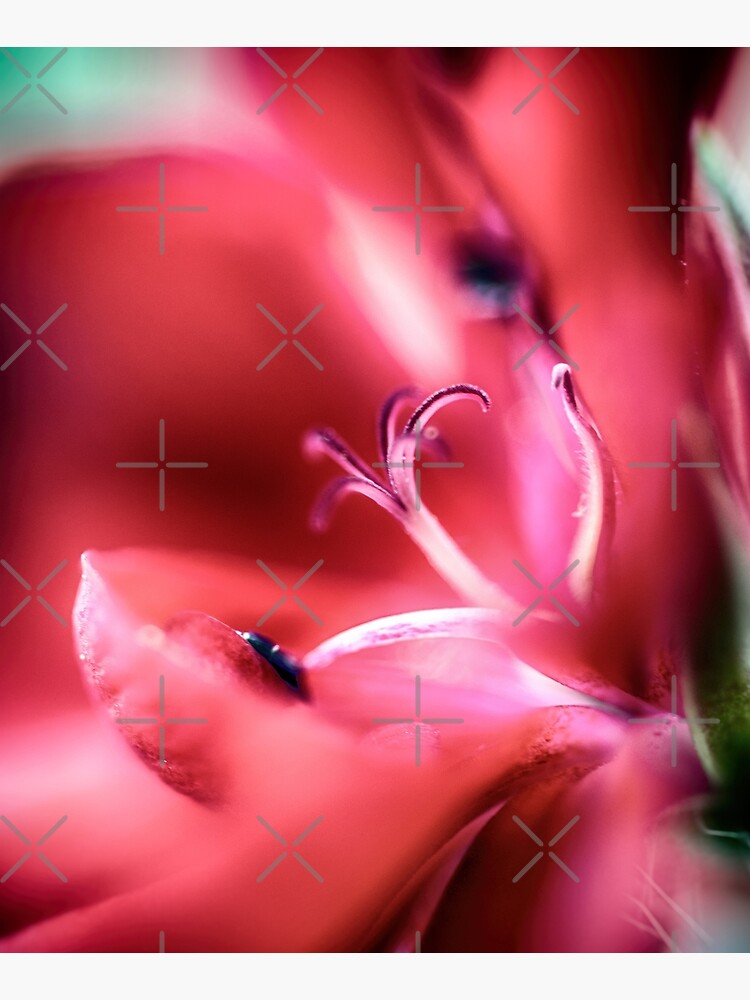 Flower Mystical by WendyLeyten