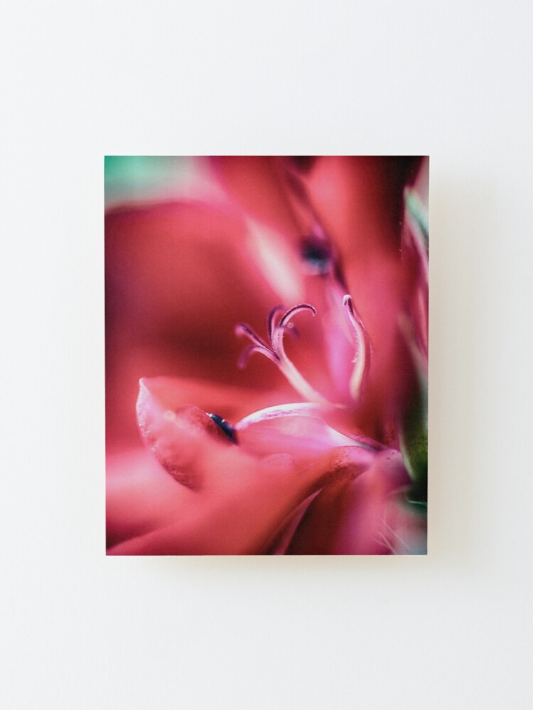 Alternate view of Flower Mystical Mounted Print