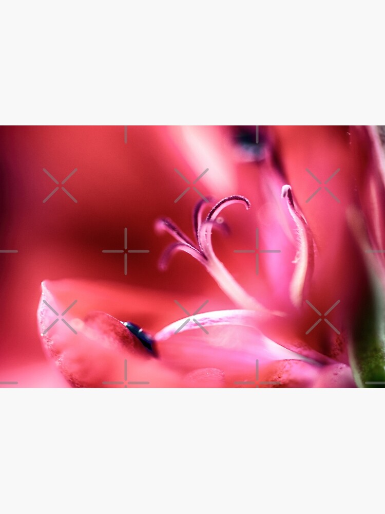 Flower Mystical by WendyLeyten
