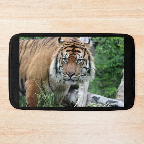 Item preview, Sumatran Tiger 2 designed and sold by LeanneAllen.