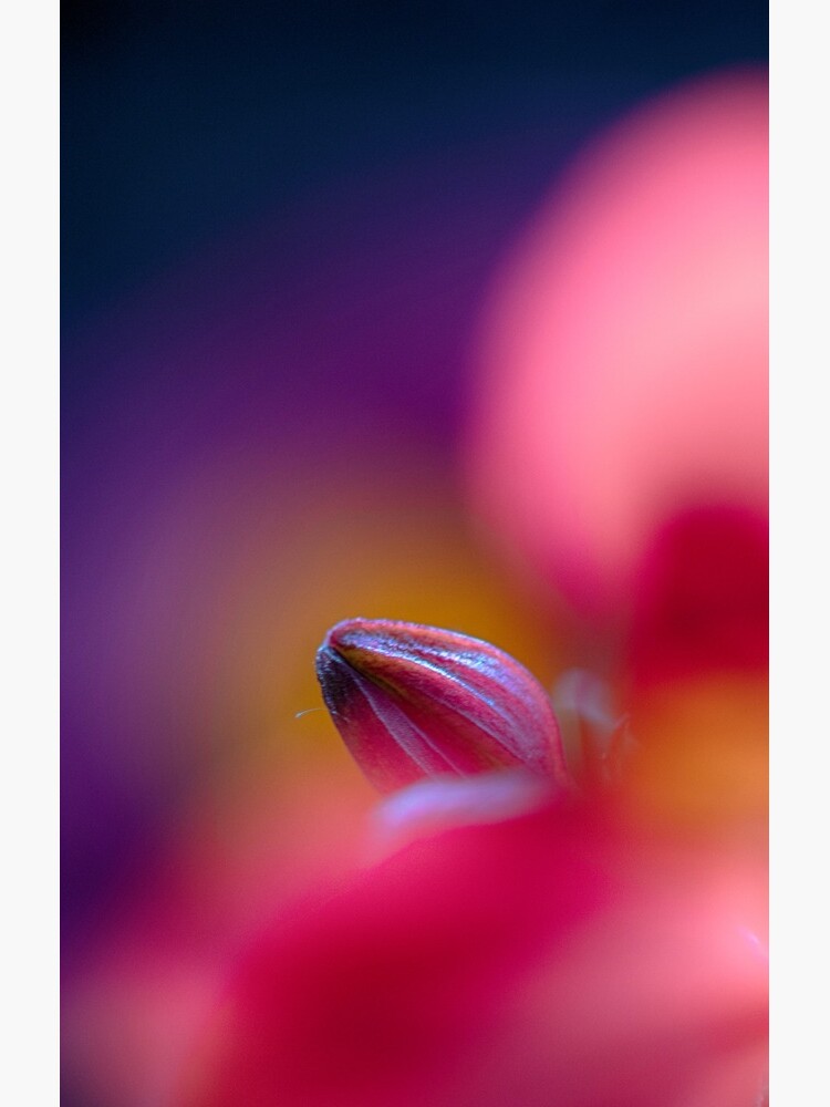 Flower Mystical by WendyLeyten