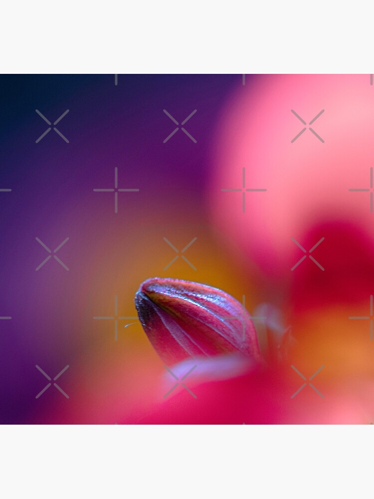 Flower Mystical by WendyLeyten